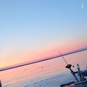 Meet your Posher, Ella